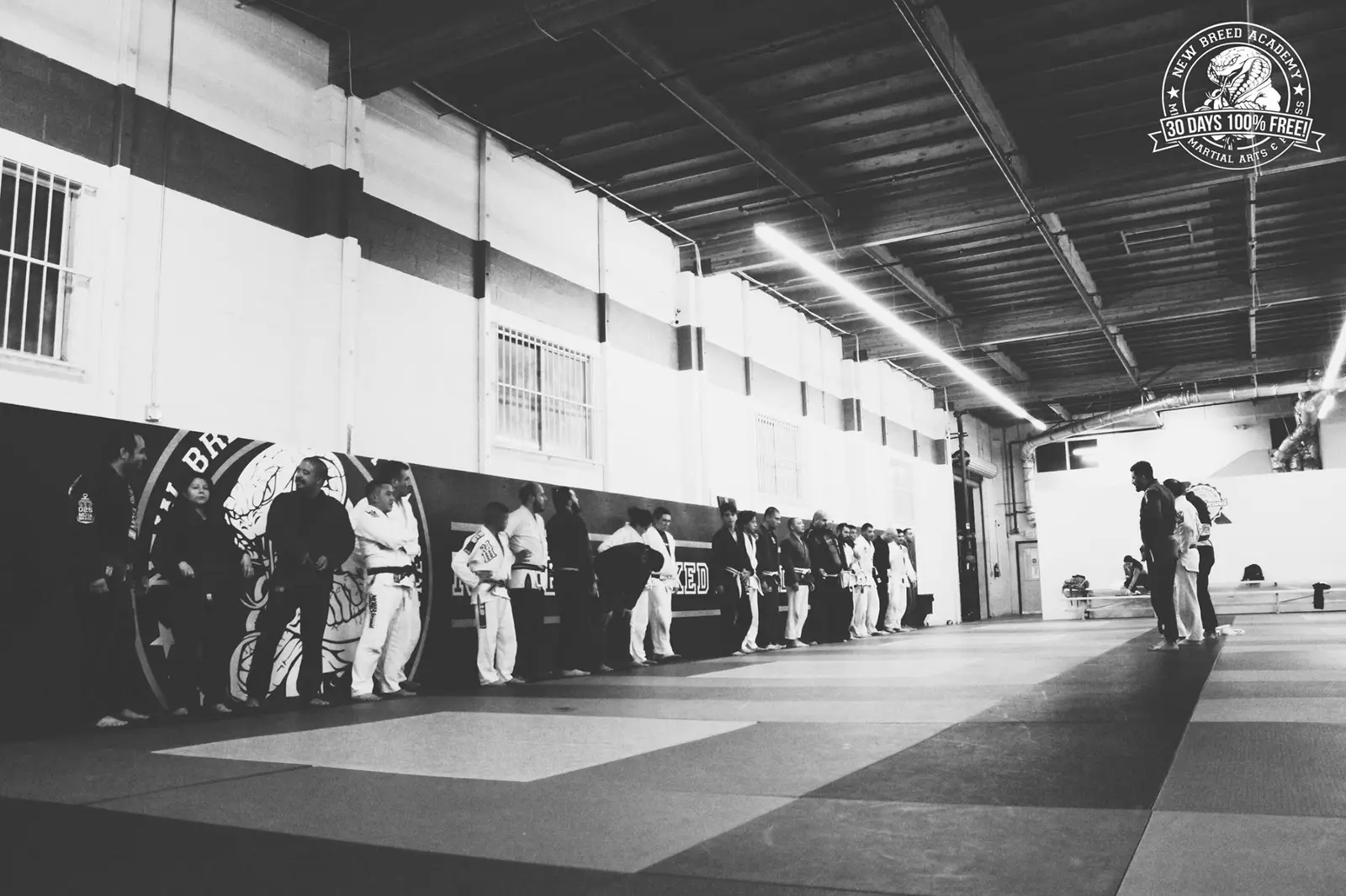 Wide view of the New Breed training floor with students lined up on the mats